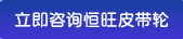 皮帶輪，國標(biāo)皮帶輪